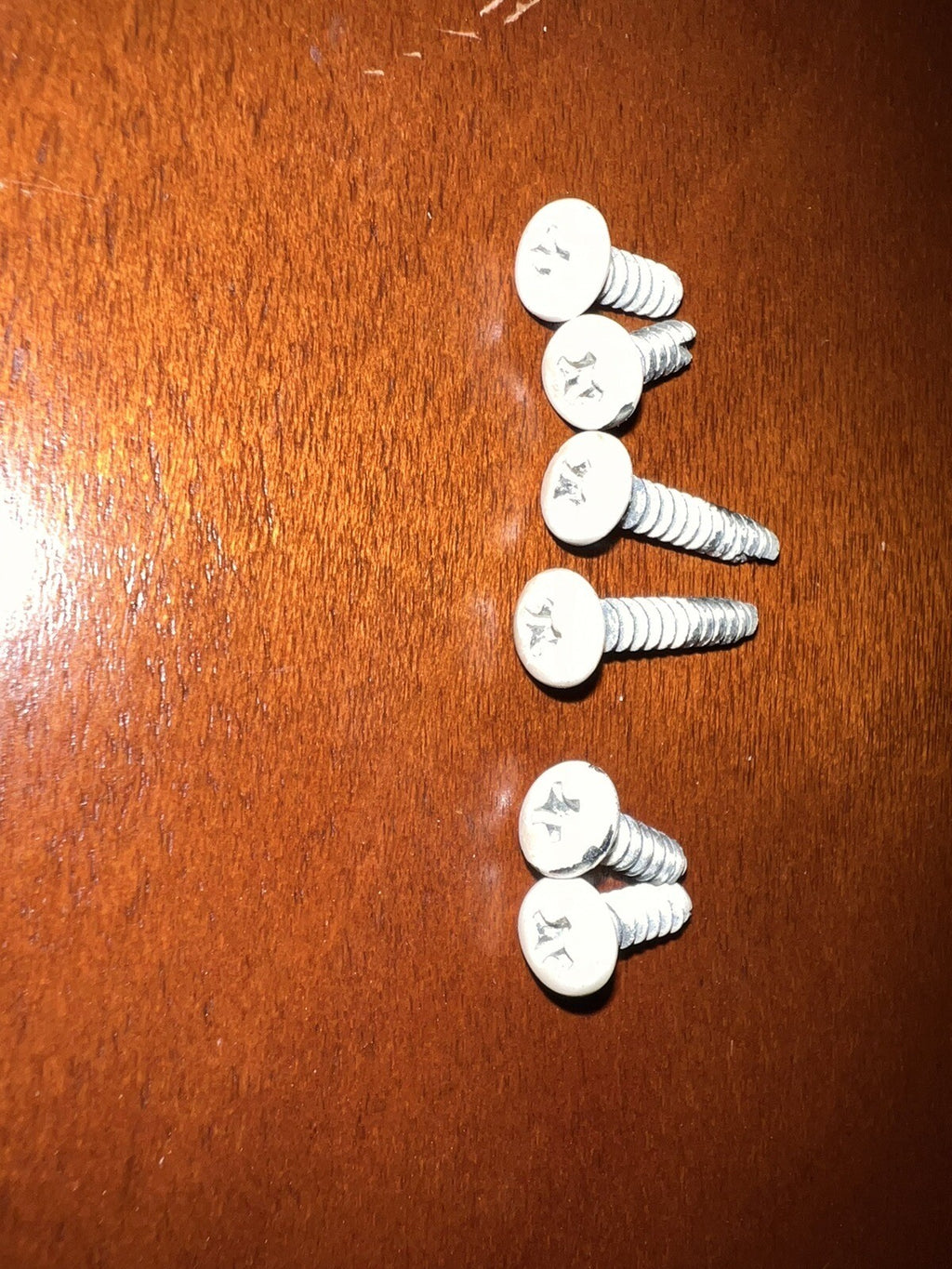 Apple IIc Monitor  Screw Set