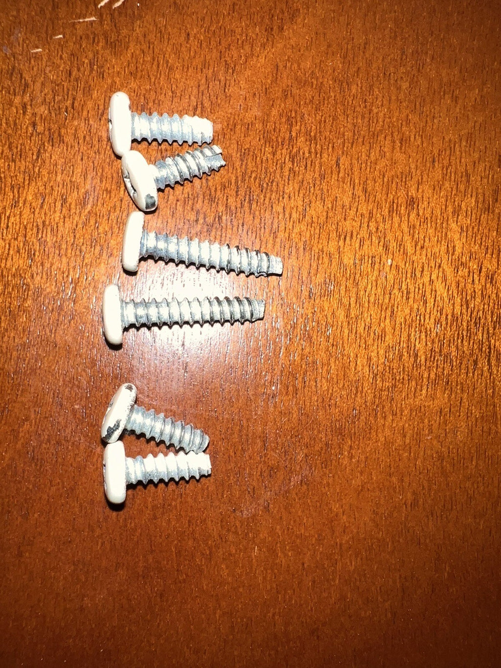 Apple IIc Monitor  Screw Set